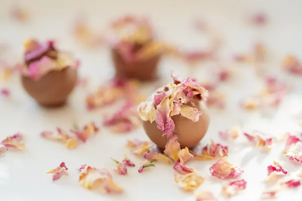 Casino Haiti Win Android/iOS aplikacija